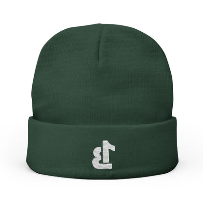 Knit Beanie (Embroidery)